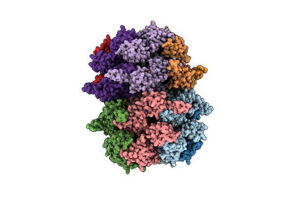 6MCK image