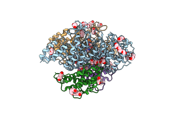 6MCP image