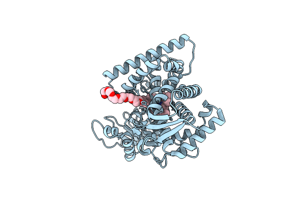 6MCW image