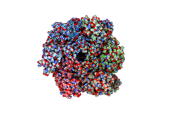 6MDM image