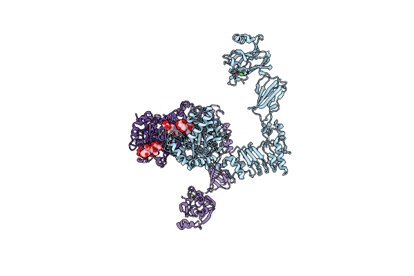 6MDS image