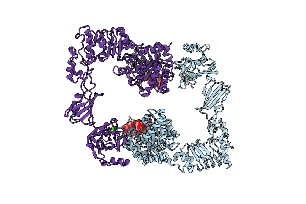 6MDV image