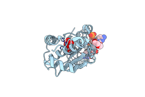 6MDX image