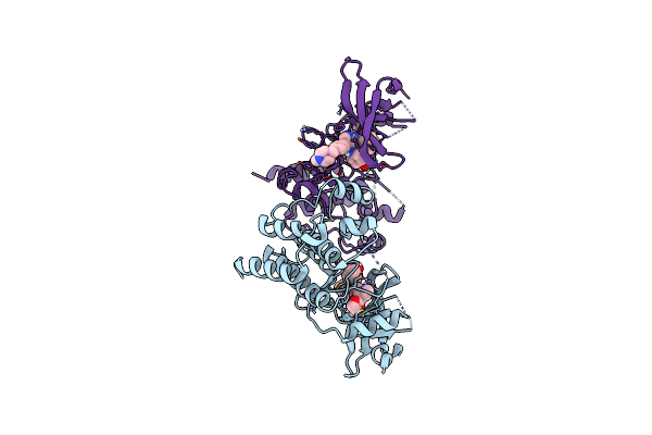 6MEP image