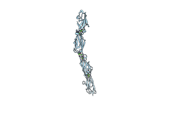 6MER image