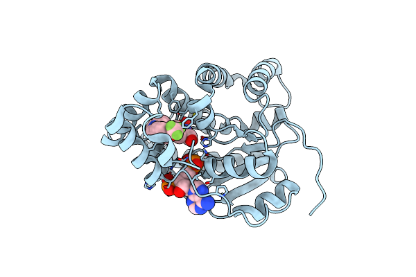 6MFE image