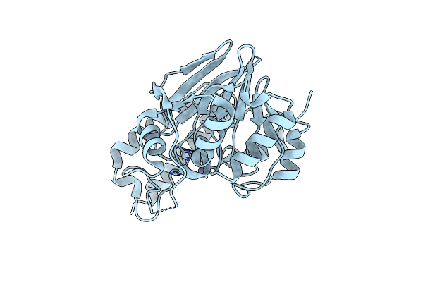 6MFI image