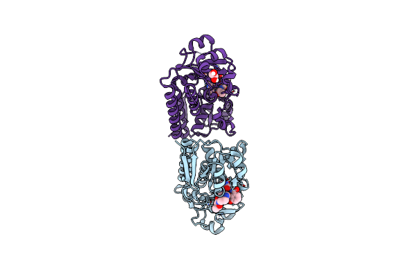 6MFL image
