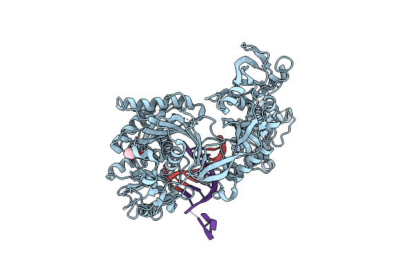6MFN image