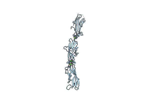 6MFO image