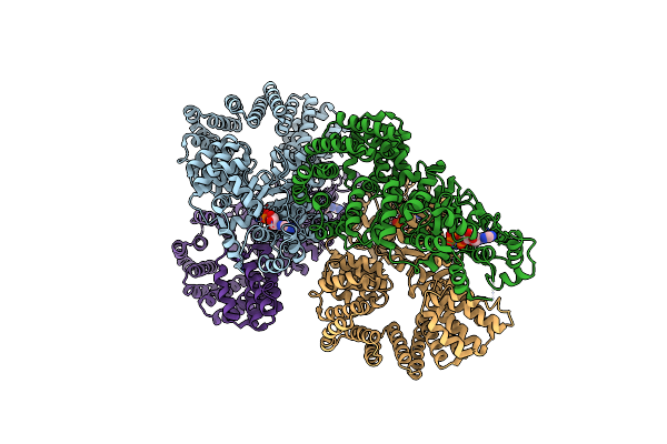 6MFV image