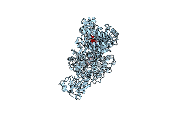 6MFX image