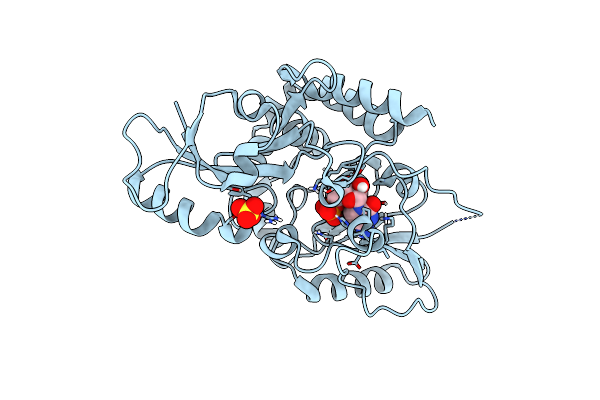 6MGC image