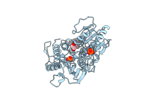 6MH3 image