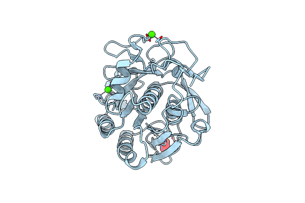 6MH6 image