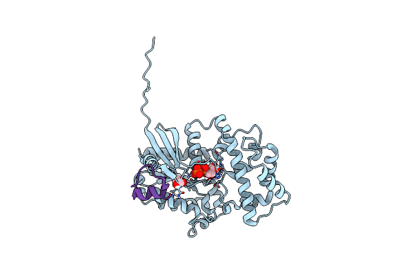 6MHF image