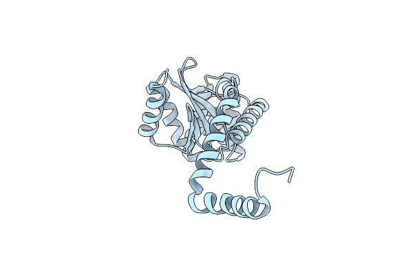 6MHH image
