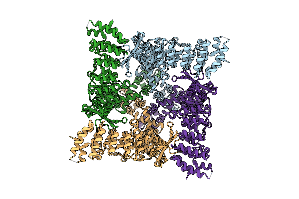 6MHO image