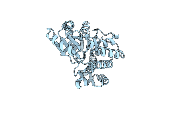 6MHP image