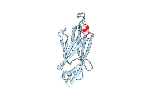 6MIP image