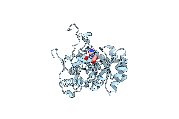 6MJY image
