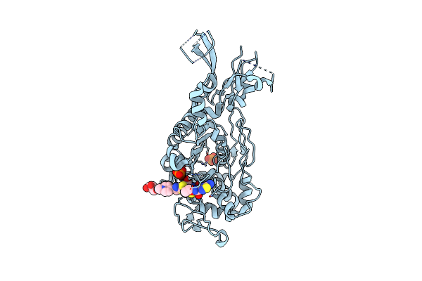 6MKI image