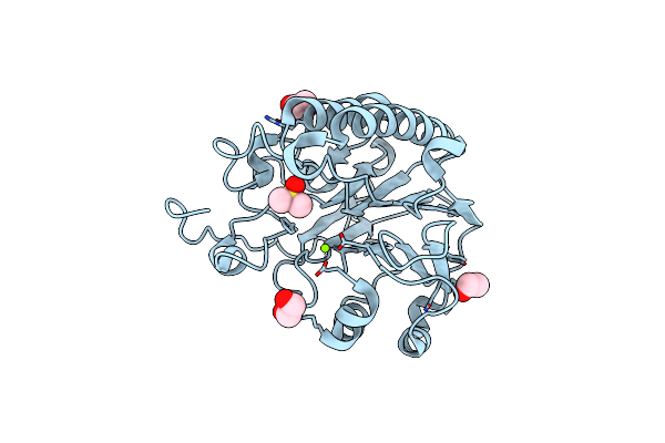 6MKK image