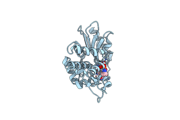 6MKQ image
