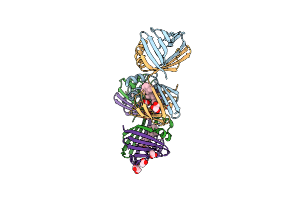 6MLB image