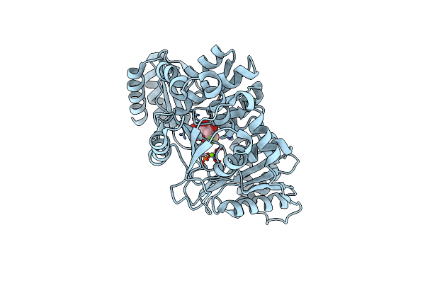 6MLF image