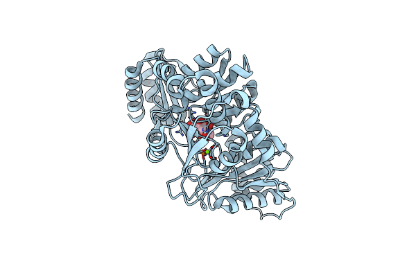 6MLH image