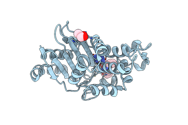 6MLL image