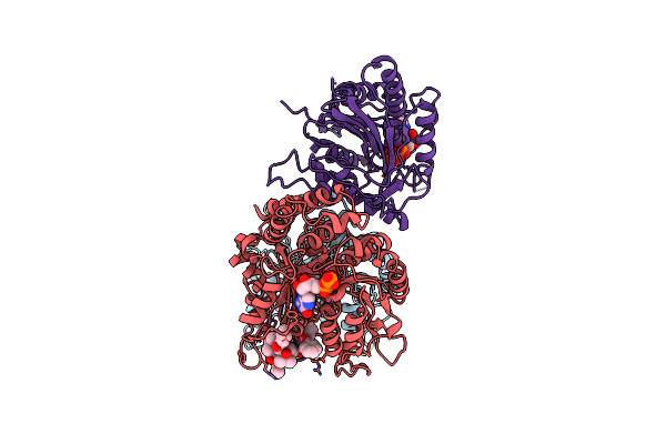 6MLR image