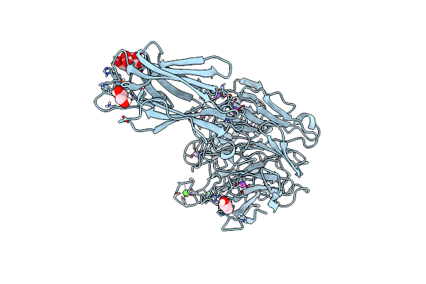 6MLT image