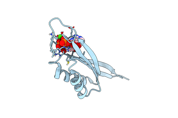 6MM2 image