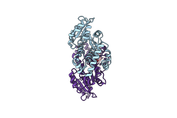 6MNC image