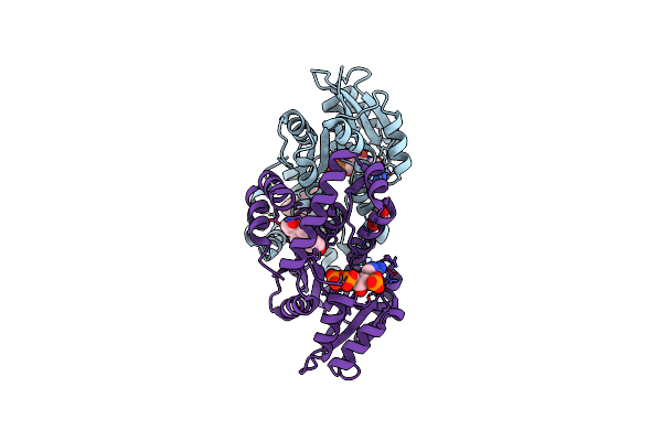 6MNE image