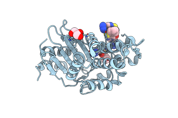 6MNP image
