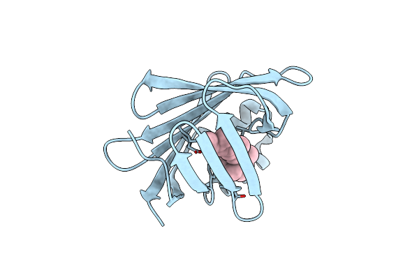 6MOP image