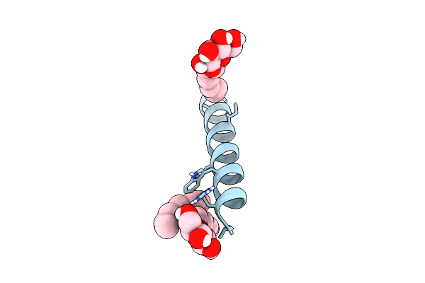 6MPM image