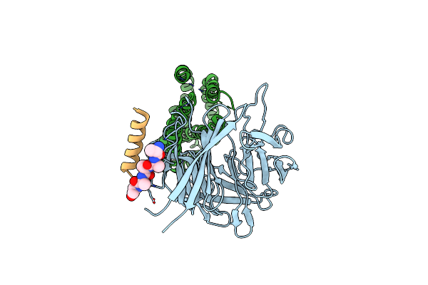 6MPV image