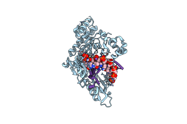 6MQ8 image