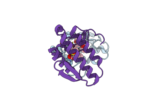 6MQF image