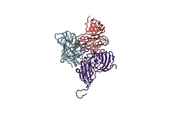 6MRL image