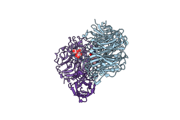 6MRV image