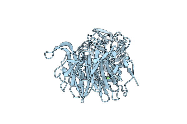 6MS2 image