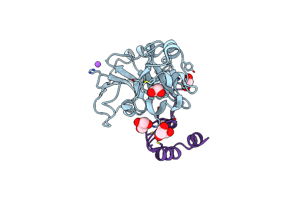 6MS4 image
