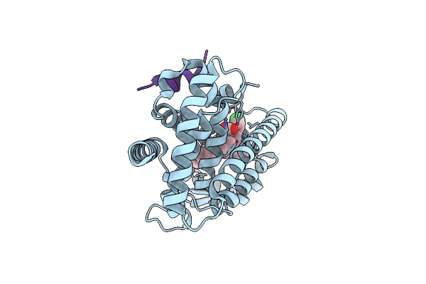 6MS7 image