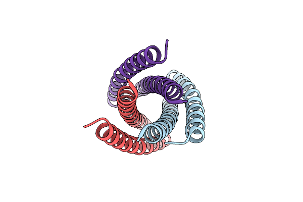 6MSR image