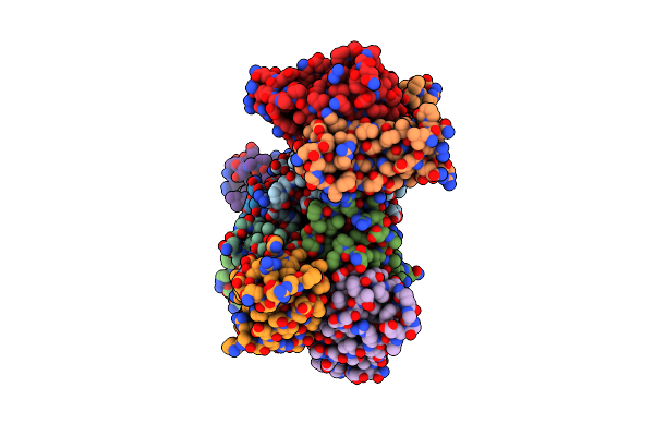 6MSV image